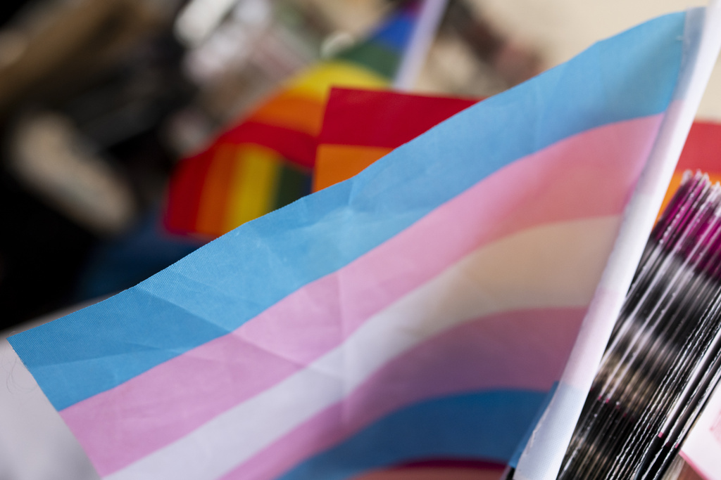 A transgender pride flag